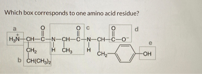 Solved Which Amino Acid Is More Soluble In Water Ch3 Ch3 Chegg Com