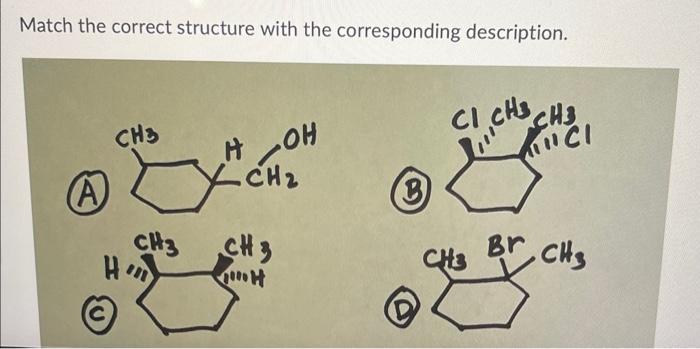 Match the correct structure with the corresponding | Chegg.com
