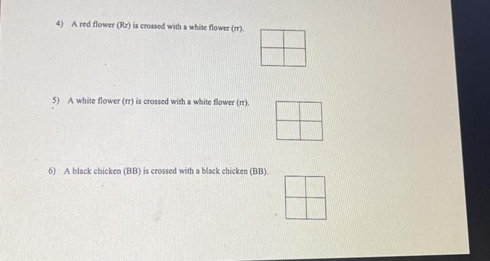 Solved Punnett square worksheet Complete the following | Chegg.com
