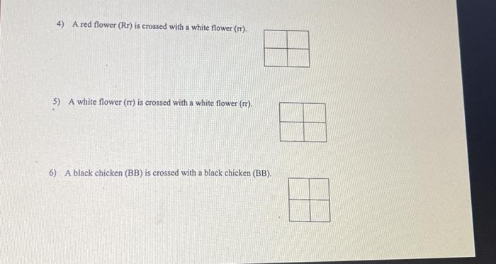 Solved Punnett Square Worksheet Complete The Following Chegg Com