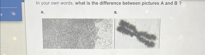 Solved In your own words, what is the difference between | Chegg.com