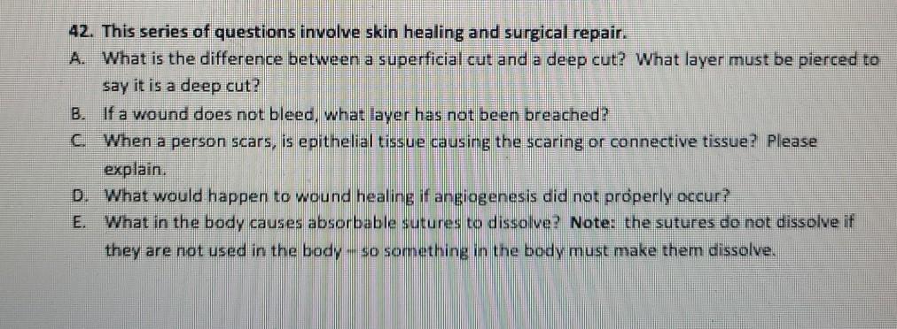 Solved 42. This series of questions involve skin healing and | Chegg.com