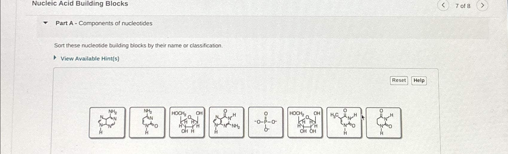 Solved Nucleic Acid Building Blocks7 ﻿of 8Part A - | Chegg.com