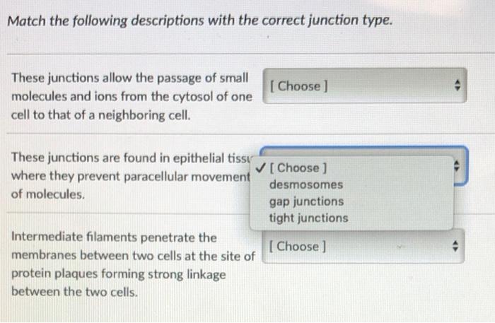 Solved Match the following descriptions with the correct | Chegg.com