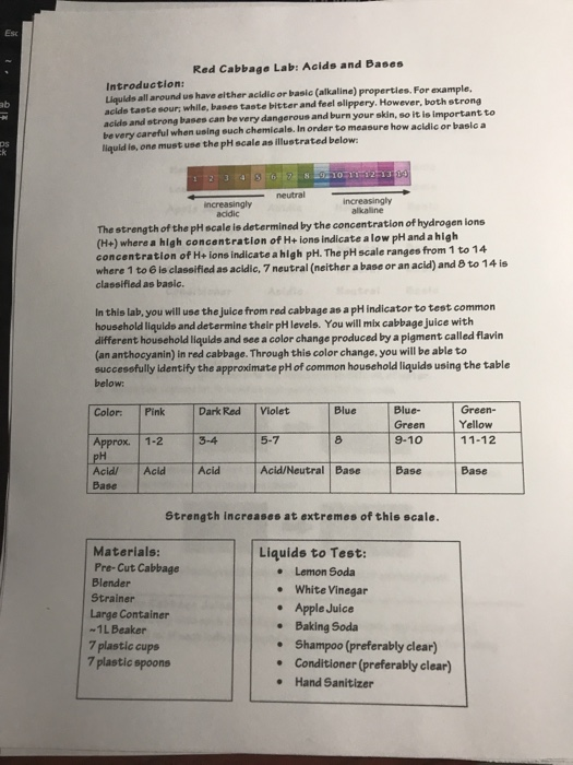 Solved Es ab Red Cabbage Lab Acids and Bases Introduction
