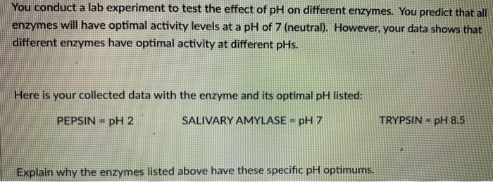 ph and enzymes experiment