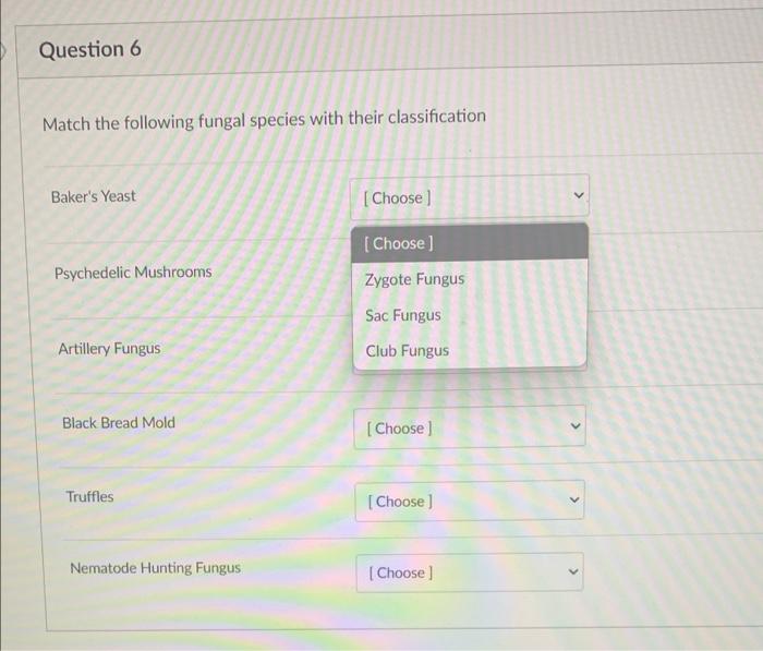 Solved Question 6 Match the following fungal species with | Chegg.com