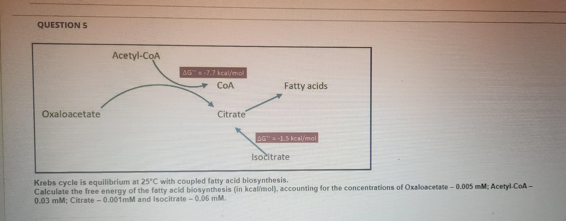 Solved QUESTION 5 Krebs cycle is equilibrium at 25∘C with