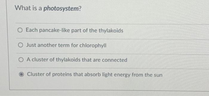 Solved Match The Chemical Reaction In Photosynthesis To | Chegg.com