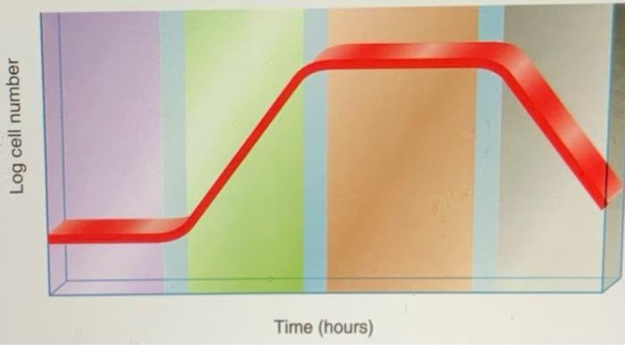 Solved The Figure shows a typical growth curve for bacteria | Chegg.com