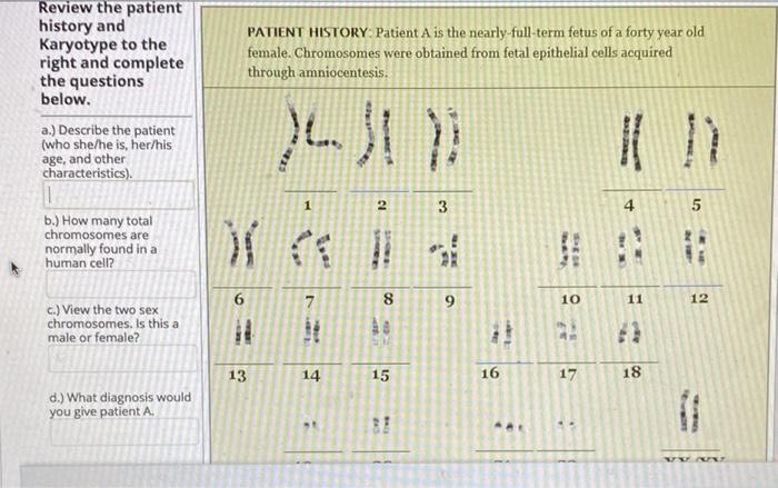 Solved PATIENT HISTORY Patient A Is The Nearly-full-term | Chegg.com