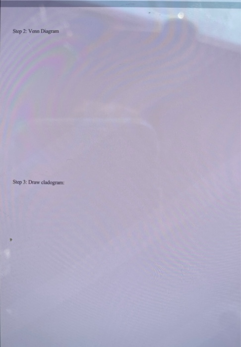 Solved: CladogramEx.pdf о Q Cladogram Construction Step 1:... | Chegg.com