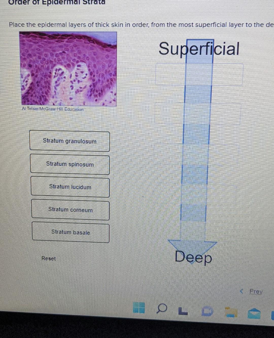 case study developing thick skin answers