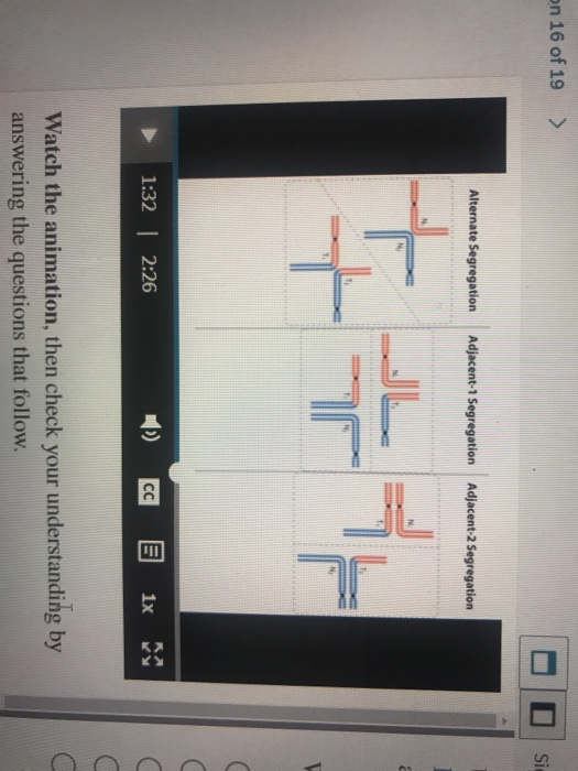 Solved Question 16 of 19 > D Side-by-Side Use the | Chegg.com