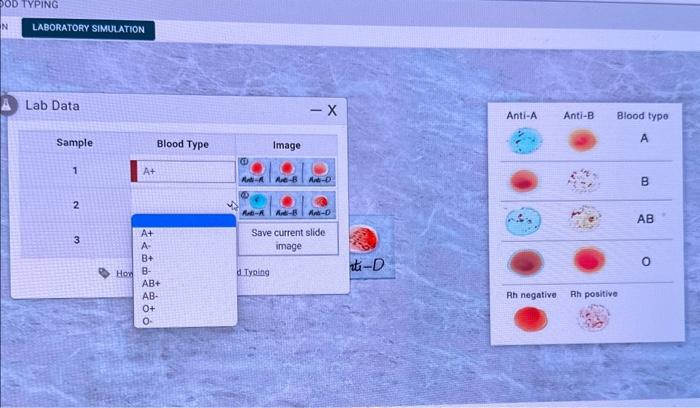 Solved Lab Data | Chegg.com