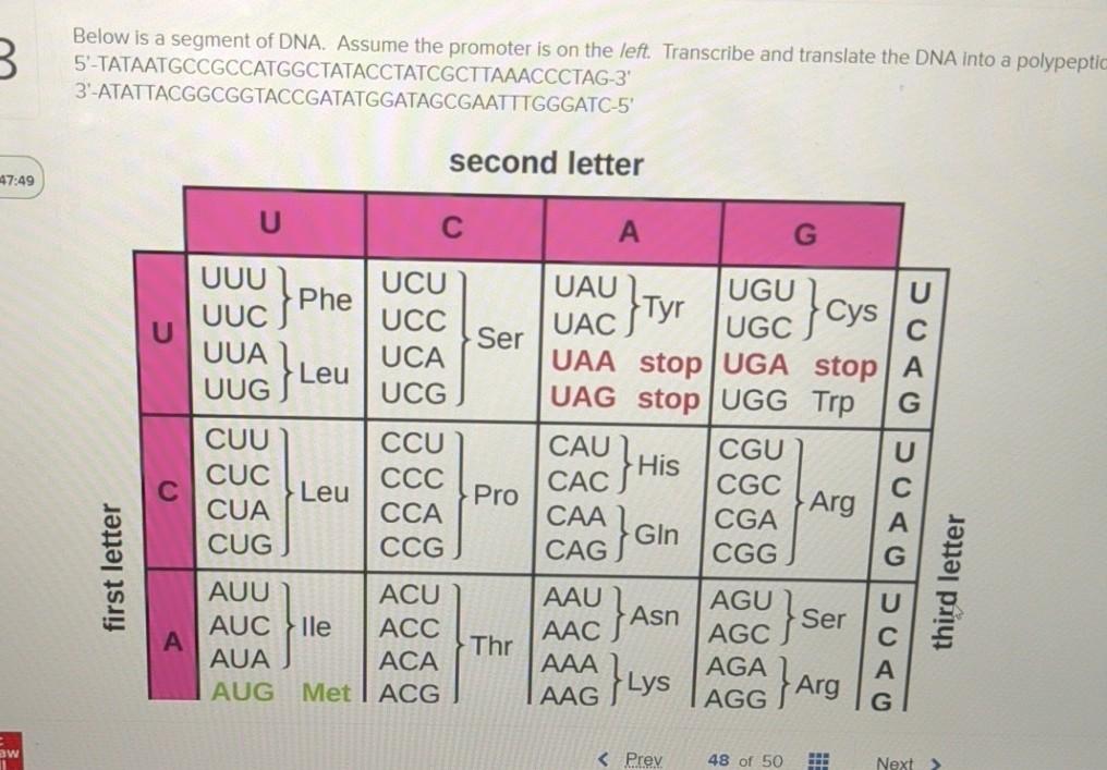 Solved 3 Below is a segment of DNA. Assume the promoter is | Chegg.com