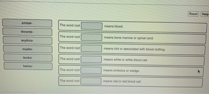 solved-reset-help-embal-the-word-root-means-blood-thromb-chegg