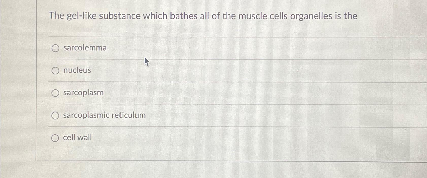 Solved The gel-like substance which bathes all of the muscle | Chegg.com