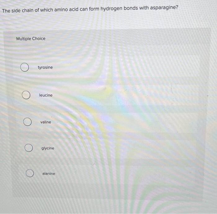 Solved The side chain of which amino acid can form hydrogen 