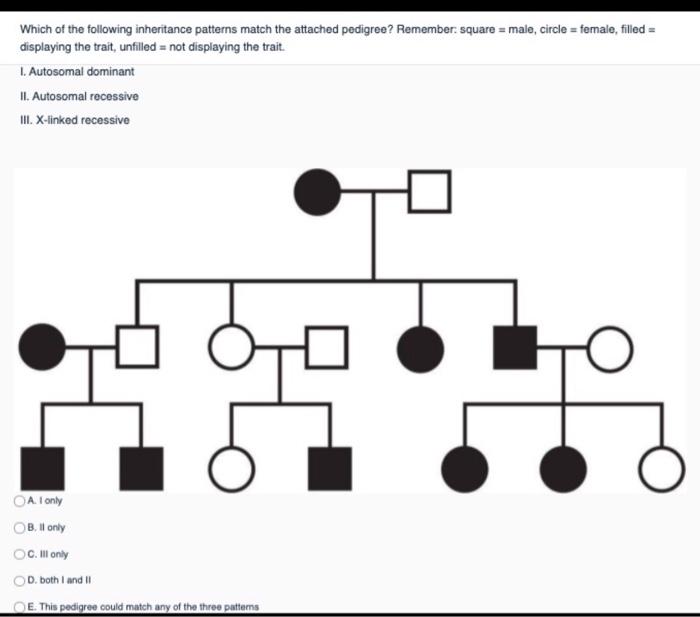 Solved Which of the following inheritance patterns match the | Chegg.com