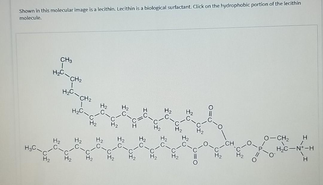 Solved Shown in this molecular image is a lecithin. Lecithin