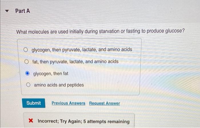 solved-order-the-following-sources-of-energy-from-first-used-chegg