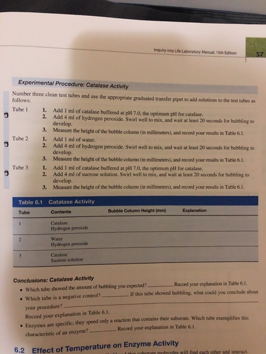 Table 6.1 Catalase Activity Tube Contents Bubble C&hellip;