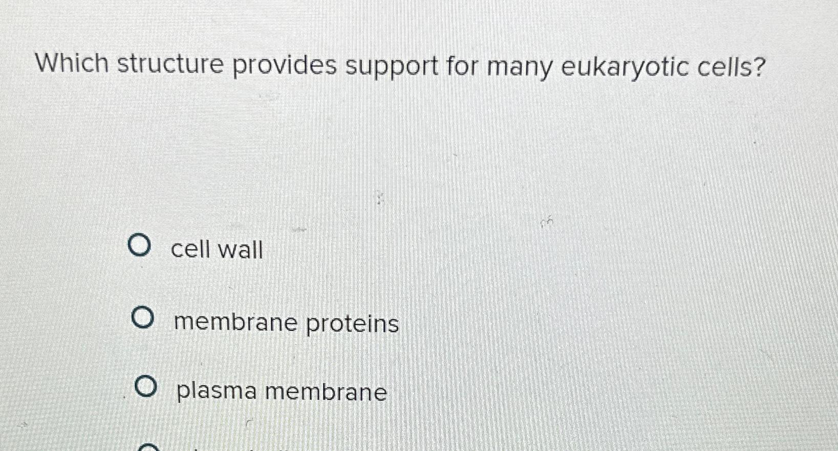 solved-which-structure-provides-support-for-many-eukaryotic-chegg