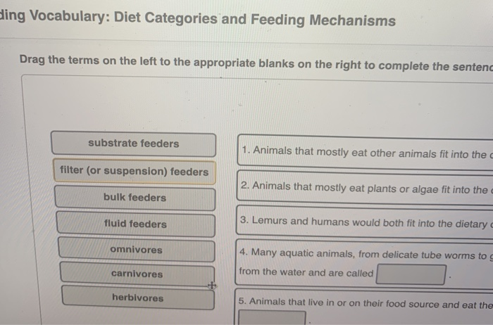 Solved ling Vocabulary: Diet Categories and Feeding 