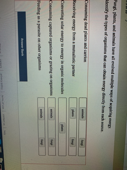Solved IJU 10 Fungi, plants, and animals have all evolved | Chegg.com