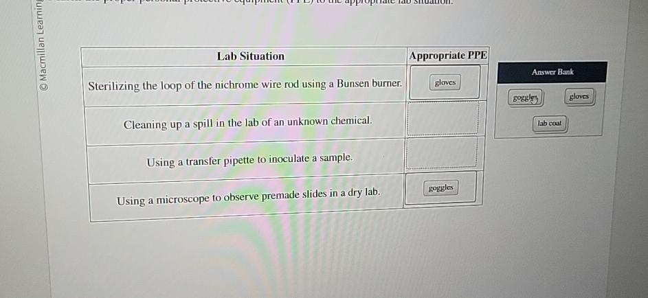 Solved Lab SituationSterilizing the loop of the nichrome | Chegg.com