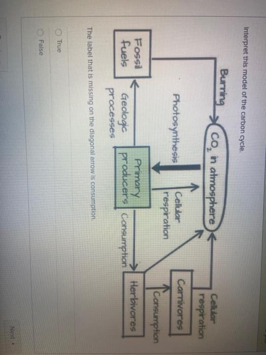 Solved Interpret this model of the carbon cycle. Burning co, | Chegg.com
