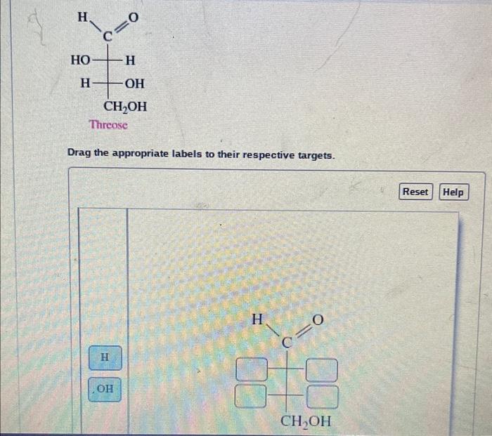 Solved Drag the appropriate labels to their respective | Chegg.com
