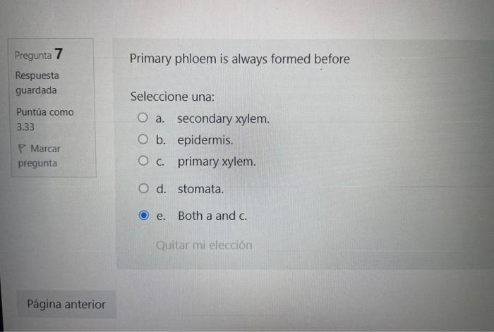 Primary phloem is always formed before Seleccione una: a. secondary xylem. b. epidermis. c. primary xylem. d. stomata. e. Bot