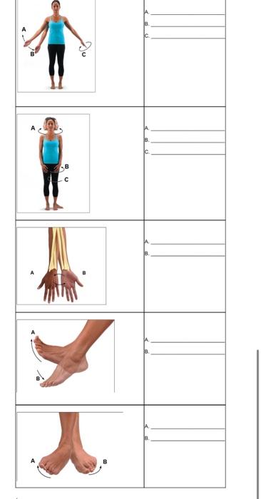 Solved identify each type of movement | Chegg.com