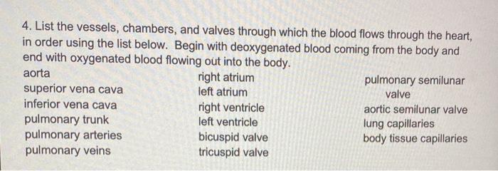 4. List the vessels, chambers, and valves through which the blood flows through the heart, in order using the list below. Beg