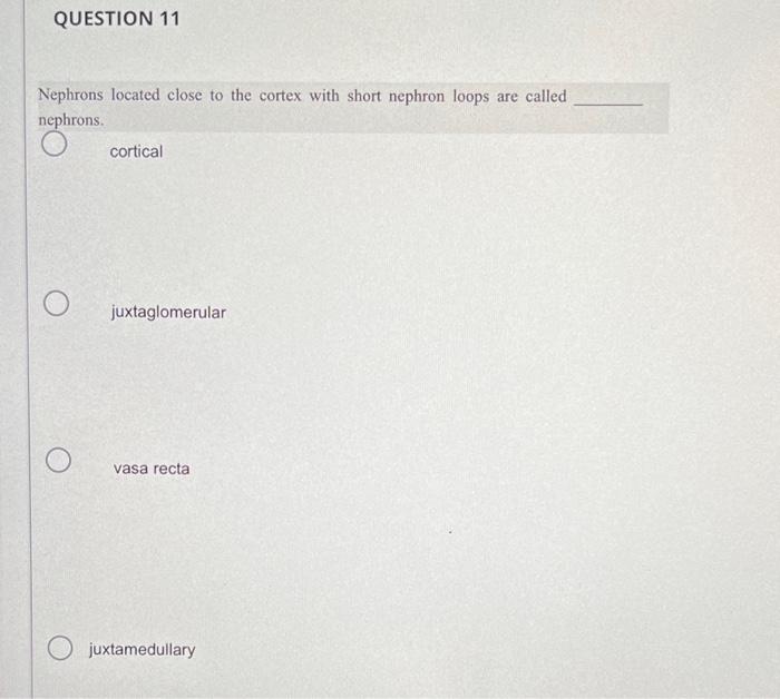 QUESTION 11
Nephrons located close to the cortex with short nephron loops are called
nephrons.
O
cortical
juxtaglomerular
vas