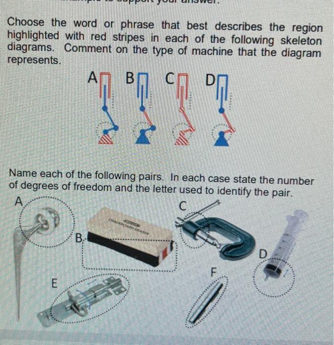 Choose the word or phrase that best describes the region highlighted with red stripes in each of the following skeleton diagr