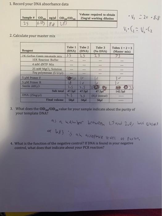 Solved LEARNING OBJECTIVES: 1. Conceptualize the physical | Chegg.com