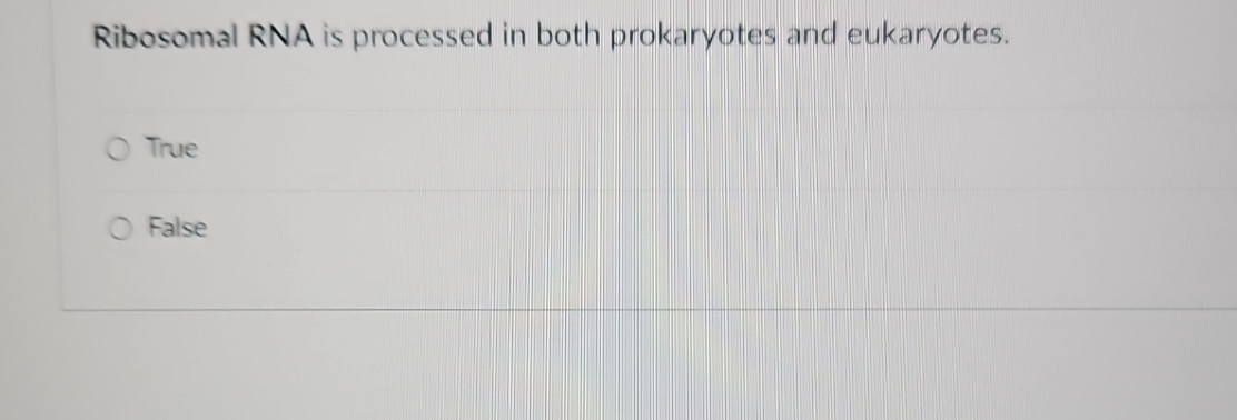 Solved Ribosomal RNA is processed in both prokaryotes and | Chegg.com
