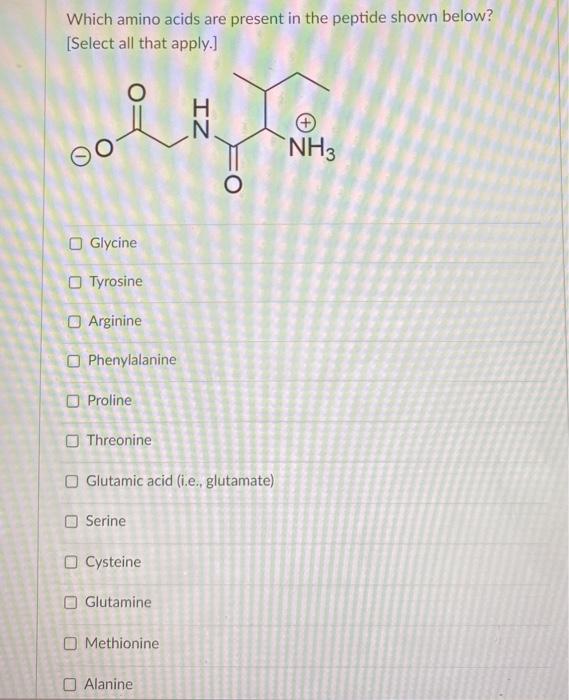 Solved Which amino acids are present in the peptide shown | Chegg.com