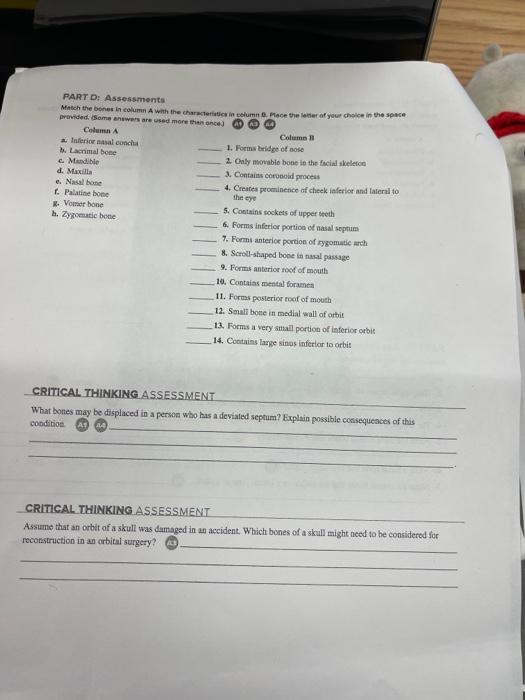 Solved PART B: Assessments Match The Bones In Column A With | Chegg.com