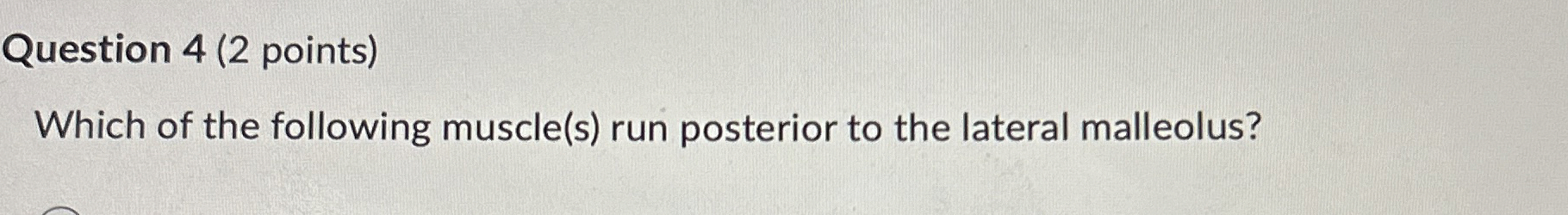 Solved Question 4 (2 ﻿points)Which of the following | Chegg.com