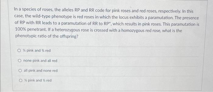 Solved In a species of roses, the alleles RP and RR code for | Chegg.com