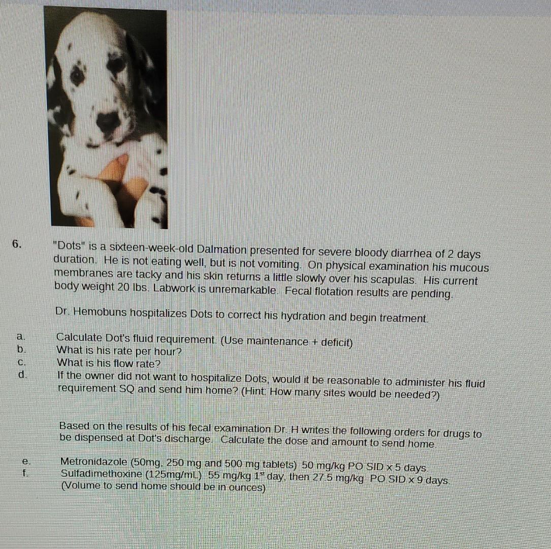 Solved this is for applied mathematics for veterinary | Chegg.com