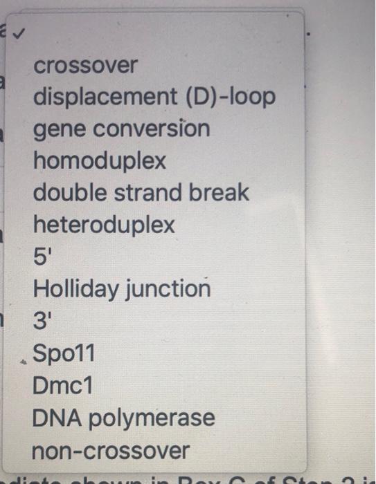 Solved The picture below shows a model for meiotic | Chegg.com