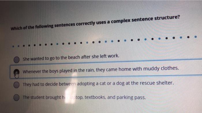 Which one of the following sentences uses the correct