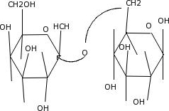 Give the systematic name of the disaccharide drawn | Chegg.com