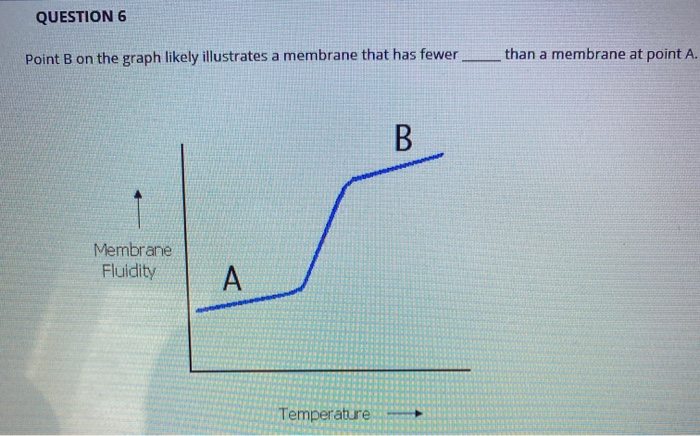 Solved QUESTION 6 Point B on the graph likely illustrates a | Chegg.com
