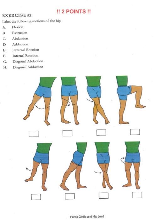 The Difference Between Hip Flexion and Extension